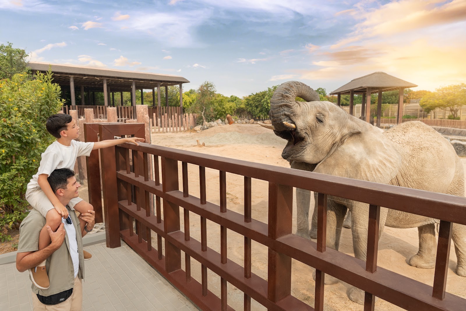 <p><strong data-start="142" data-end="202">🌿 Dubai Safari Park — где природа встречается с будущим</strong></p>
<p data-start="204" data-end="492">Среди песков и небоскрёбов, где технологии и роскошь правят бал, раскинулся живой уголок природы — <strong data-start="303" data-end="324">Dubai Safari Park</strong>. Это не просто зоопарк, а настоящий <strong data-start="361" data-end="384">оазис дикой природы</strong> в самом сердце мегаполиса, гармонично сочетающий заботу о животных, экологические технологии и образование!</p>
<p data-start="494" data-end="731">📍Открытие парка состоялось в <strong data-start="524" data-end="545">декабре 2017 года</strong>, после того как старый зоопарк в районе Джумейра был закрыт. Новая концепция пришла на смену: вместо вольеров — просторные биозоны, вместо клеток — условия, приближённые к естественным.</p>
<p data-start="733" data-end="1043">Dubai Safari Park занимает площадь более <strong data-start="774" data-end="790">119 гектаров</strong> и считается <strong data-start="803" data-end="847">одним из крупнейших сафари-парков в мире</strong>, построенных <strong data-start="861" data-end="898">по принципам устойчивого развития</strong>. Здесь обитают <strong data-start="914" data-end="938">более 3 000 животных</strong> из разных уголков планеты: от африканских слонов и белых львов до редких азиатских тигров и носорогов.</p>
<p data-start="1045" data-end="1085">🌍 Парк разделён на тематические зоны:</p>
<ul data-start="1086" data-end="1449">
<li data-start="1086" data-end="1169">
<p data-start="1088" data-end="1169"><strong data-start="1088" data-end="1107">African Village</strong> — с величественными львами, бегемотами, жирафами и зебрами,</p>
</li>
<li data-start="1170" data-end="1253">
<p data-start="1172" data-end="1253"><strong data-start="1172" data-end="1189">Asian Village</strong> — с павлинами, макаками, оленями и уникальной фауной Востока,</p>
</li>
<li data-start="1254" data-end="1336">
<p data-start="1256" data-end="1336"><strong data-start="1256" data-end="1281">Arabian Desert Safari</strong> — с животными, обитающими на Аравийском полуострове,</p>
</li>
<li data-start="1337" data-end="1449">
<p data-start="1339" data-end="1449"><strong data-start="1339" data-end="1359">Explorer Village</strong> — сафари на джипах среди свободно гуляющих животных, как в настоящей африканской саванне.</p>
</li>
</ul>
<p data-start="1451" data-end="1588">🐘 Особая гордость парка — <strong data-start="1478" data-end="1499">африканские слоны</strong>, для которых создан один из крупнейших в мире вольеров с бассейнами и грязевыми ваннами!</p>
<p data-start="1590" data-end="1954">💡 Инновации — ещё одна отличительная черта Dubai Safari Park. Энергия поступает от <strong data-start="1674" data-end="1695">солнечных панелей</strong>, используется <strong data-start="1710" data-end="1731">рециркуляция воды</strong>, а материалы при строительстве были выбраны с учётом <strong data-start="1785" data-end="1815">экологической устойчивости</strong>. Парк служит также научной и образовательной платформой, где проводятся программы по охране исчезающих видов и экологическому просвещению.</p>
<p data-start="1956" data-end="2251">🦜 В 2020 году после реконструкции парк вновь открыл свои двери, ещё больше расширив коллекцию животных и улучшив условия содержания. Сегодня он не просто туристическая достопримечательность, а <strong data-start="2150" data-end="2186">центр сохранения биоразнообразия</strong>, визитная карточка современного подхода к экотуризму в Эмиратах.</p>
<hr data-start="2253" data-end="2256">
<p data-start="2258" data-end="2401">Dubai Safari Park — это путешествие по пяти континентам за один день, это место, где дети учатся любить природу, а взрослые — удивляться снова.</p><p data-start="2258" data-end="2401"><b>В ЦЕНУ ВХОДИТ ТРАНСФЕР И ЗОЛОТОЙ БИЛЕТ. ВСЕ ЗОНЫ ДОСТУПНЫ ДЛЯ ПОСЕЩЕНИЯ!!!</b></p>