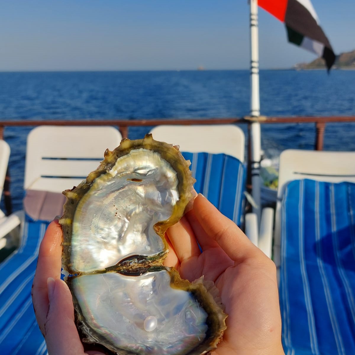 <span style="font-size: 16px;"><font style="vertical-align: inherit;"><font style="vertical-align: inherit;">🐠 Морская сказка Омана: купание в бухтах Мусандам 🌊</font></font></span><p data-start="225" data-end="464"><font style="vertical-align: inherit;"><font style="vertical-align: inherit;">Представьте: теплое солнце, кристально чистую воду, живописные скалы и вы — в самом сердце сказочного залива. Это путешествие в Оман через эмират Фуджейра — не просто поездка-экскурсия, это </font></font><strong data-start="403" data-end="463"><font style="vertical-align: inherit;"><font style="vertical-align: inherit;">настоящее погружение в мир красоты, неожиданностей и ярких эмоций!</font></font></strong></p>
<p data-start="466" data-end="811"><font style="vertical-align: inherit;"><font style="vertical-align: inherit;">📍Наш путь лежит через живописные горные серпантины, за окнами — сменяющиеся пейзажи, где остроконечные хребты встречаются с бескрайними морскими просторами. И вот вы уже в </font></font><strong data-start="649" data-end="668"><font style="vertical-align: inherit;"><font style="vertical-align: inherit;">бухтах Мусандам</font></font></strong><font style="vertical-align: inherit;"><font style="vertical-align: inherit;"> , которые еще называют </font></font><em data-start="691" data-end="715"><font style="vertical-align: inherit;"><font style="vertical-align: inherit;">«аравийскими фьордами»</font></font></em><font style="vertical-align: inherit;"><font style="vertical-align: inherit;"> . Здесь лазурное море ласково омывает скалистые берега, атмосфера словно перенесена с открытки!</font></font></p><p data-start="813" data-end="959"><font style="vertical-align: inherit;"><font style="vertical-align: inherit;">
Что вас ждёт:</font></font></p>
<ul data-start="961" data-end="1494">
<li data-start="961" data-end="1062">
<p data-start="963" data-end="1062"><font style="vertical-align: inherit;"><font style="vertical-align: inherit;">🏊‍♂️ Идеальное </font></font><strong data-start="969" data-end="1000"><font style="vertical-align: inherit;"><font style="vertical-align: inherit;">купание в чистых лагунах</font></font></strong><font style="vertical-align: inherit;"><font style="vertical-align: inherit;"> с изумрудной водой — место, где можно забыть о суете!</font></font></p>
</li>
<li data-start="1063" data-end="1155">
<p data-start="1065" data-end="1155"><font style="vertical-align: inherit;"><font style="vertical-align: inherit;">🐟 </font></font><strong data-start="1068" data-end="1079"><font style="vertical-align: inherit;"><font style="vertical-align: inherit;">Рыбалка</font></font></strong><font style="vertical-align: inherit;"><font style="vertical-align: inherit;"> на борту — возможность поймать свою первую рыбу в водах Индийского океана!</font></font></p>
</li>
<li data-start="1156" data-end="1292">
<p data-start="1158" data-end="1292"><font style="vertical-align: inherit;"><font style="vertical-align: inherit;">🤿 </font></font><strong data-start="1161" data-end="1175"><font style="vertical-align: inherit;"><font style="vertical-align: inherit;">Снорклинг</font></font></strong><font style="vertical-align: inherit;"><font style="vertical-align: inherit;"> : маски, трубки и ласты предоставляются бесплатно! Погрузитесь в подводный мир с разноцветными рыбками и кораллами!</font></font></p>
</li>
<li data-start="1293" data-end="1371">
<p data-start="1295" data-end="1371"><font style="vertical-align: inherit;"><font style="vertical-align: inherit;">🛶 </font></font><strong data-start="1298" data-end="1330"><font style="vertical-align: inherit;"><font style="vertical-align: inherit;">Катания на каяках и на «банане»</font></font></strong><font style="vertical-align: inherit;"><font style="vertical-align: inherit;"> — весело, безопасно и очень освежающе!</font></font></p>
</li>
<li data-start="1372" data-end="1494">
<p data-start="1374" data-end="1494"><font style="vertical-align: inherit;"><font style="vertical-align: inherit;">🍽️ </font></font><strong data-start="1378" data-end="1394"><font style="vertical-align: inherit;"><font style="vertical-align: inherit;">Обед включен</font></font></strong><font style="vertical-align: inherit;"><font style="vertical-align: inherit;"> — вкусные блюда, прохладительные напитки и свежие фрукты на борту, под шум и ласковый морской бриз!</font></font></p>
</li>
</ul>
<p data-start="1496" data-end="1629"><font style="vertical-align: inherit;"><font style="vertical-align: inherit;">🌅 Здесь всё создано для того, чтобы вы просто расслабились, вдохнули полной грудью морской воздух и наполнили день яркими моментами!</font></font></p>
<h2 data-start="1636" data-end="1671"><font style="vertical-align: inherit;"><font style="vertical-align: inherit;"><span style="font-size: 16px;">💡 Почему это стоит попробовать:</span></font></font></h2>
<ul data-start="1672" data-end="1946">
<li data-start="1672" data-end="1755">
<p data-start="1674" data-end="1755"><font style="vertical-align: inherit;"><font style="vertical-align: inherit;">Потрясающие морские пейзажи и купание в бухтах, до которых не добраться по суше;</font></font></p>
</li>
<li data-start="1756" data-end="1824">
<p data-start="1758" data-end="1824"><font style="vertical-align: inherit;"><font style="vertical-align: inherit;">Уникальный формат отдыха: море, горы и приключения — в один день;</font></font></p>
</li>
<li data-start="1825" data-end="1894">
<p data-start="1827" data-end="1894"><font style="vertical-align: inherit;"><font style="vertical-align: inherit;">Всё включено: обед, оборудование, активные развлечения и трансфер;</font></font></p>
</li>
<li data-start="1895" data-end="1946">
<p data-start="1897" data-end="1946"><font style="vertical-align: inherit;"><font style="vertical-align: inherit;">Атмосфера уюта, свободы и восточной аутентичности.</font></font></p><p data-start="1897" data-end="1946"><font style="vertical-align: inherit;"><font style="vertical-align: inherit;"><font style="vertical-align: inherit;"><font style="vertical-align: inherit;"><b>НА ДАННУЮ ЭКСКУСИЮ ОРИГИНАЛ ПАСПОРТА ОБЯЗАТЕЛЬНО БЕРЕМ С СОБОЙ!</b></font></font></font></font></p>
</li>
</ul>

<p data-start="1953" data-end="2051"><strong data-start="1953" data-end="2047"><font style="vertical-align: inherit;"><font style="vertical-align: inherit;">Оман с его лазурными волнами будто создан для ярких впечатлений, искренних улыбок и настоящего отдыха. Присоединяйтесь!</font></font></strong><font style="vertical-align: inherit;"><font style="vertical-align: inherit;"> 🐬✨</font></font></p>