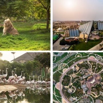 <p><span data-start="142" data-end="202" style="font-weight: bolder;">🌿 Dubai Safari Park — где природа встречается с будущим.</span></p><p data-start="204" data-end="492">Среди песков и небоскрёбов, где технологии и роскошь правят бал, раскинулся живой уголок природы —&nbsp;<span data-start="303" data-end="324" style="font-weight: bolder;">Dubai Safari Park</span>. Это не просто зоопарк, а настоящий&nbsp;<span data-start="361" data-end="384" style="font-weight: bolder;">оазис дикой природы</span>&nbsp;в самом сердце мегаполиса, гармонично сочетающий заботу о животных, экологические технологии и образование!</p><p data-start="494" data-end="731">📍Открытие парка состоялось в&nbsp;<span data-start="524" data-end="545" style="font-weight: bolder;">декабре 2017 года</span>, после того как старый зоопарк в районе Джумейра был закрыт. Новая концепция пришла на смену: вместо вольеров — просторные биозоны, вместо клеток — условия, приближённые к естественным.</p><p data-start="733" data-end="1043"><b>Dubai Safari Park</b> занимает площадь более&nbsp;<span data-start="774" data-end="790" style="font-weight: bolder;">119 гектаров</span>&nbsp;и считается&nbsp;<span data-start="803" data-end="847" style="font-weight: bolder;">одним из крупнейших сафари-парков в мире</span>, построенных&nbsp;<span data-start="861" data-end="898" style="font-weight: bolder;">по принципам устойчивого развития</span>. Здесь обитают&nbsp;<span data-start="914" data-end="938" style="font-weight: bolder;">более 3 000 животных</span>&nbsp;из разных уголков планеты: от африканских слонов и белых львов до редких азиатских тигров и носорогов.</p><p data-start="1045" data-end="1085">🌍 Парк разделён на тематические зоны:</p><ul data-start="1086" data-end="1449"><li data-start="1086" data-end="1169"><p data-start="1088" data-end="1169"><span data-start="1088" data-end="1107" style="font-weight: bolder;">African Village</span>&nbsp;— с величественными львами, бегемотами, жирафами и зебрами;</p></li><li data-start="1170" data-end="1253"><p data-start="1172" data-end="1253"><span data-start="1172" data-end="1189" style="font-weight: bolder;">Asian Village</span>&nbsp;— с павлинами, макаками, оленями и уникальной фауной Востока;</p></li><li data-start="1254" data-end="1336"><p data-start="1256" data-end="1336"><span data-start="1256" data-end="1281" style="font-weight: bolder;">Arabian Desert Safari</span>&nbsp;— с животными, обитающими на Аравийском полуострове;</p></li><li data-start="1337" data-end="1449"><p data-start="1339" data-end="1449"><span data-start="1339" data-end="1359" style="font-weight: bolder;">Explorer Village</span>&nbsp;— сафари на джипах среди свободно гуляющих животных, как в настоящей африканской саванне.</p></li></ul><p data-start="1451" data-end="1588">🐘 Особая гордость парка —&nbsp;<span data-start="1478" data-end="1499" style="font-weight: bolder;">африканские слоны</span>, для которых создан один из крупнейших в мире вольер с бассейнами и грязевыми ваннами!</p><p data-start="1590" data-end="1954">💡 Инновации — ещё одна отличительная черта Dubai Safari Park. Энергия поступает от&nbsp;<span data-start="1674" data-end="1695" style="font-weight: bolder;">солнечных панелей</span>, используется&nbsp;<span data-start="1710" data-end="1731" style="font-weight: bolder;">рециркуляция воды</span>, а материалы при строительстве были выбраны с учётом&nbsp;<span data-start="1785" data-end="1815" style="font-weight: bolder;">экологической устойчивости</span>. Парк служит также научной и образовательной платформой, где проводятся программы по охране исчезающих видов и экологическому просвещению.</p><p data-start="1956" data-end="2251">🦜 В 2020 году после реконструкции парк вновь открыл свои двери, ещё больше расширив коллекцию животных и улучшив условия содержания. Сегодня он не просто туристическая достопримечательность, а&nbsp;<span data-start="2150" data-end="2186" style="font-weight: bolder;">центр сохранения биоразнообразия</span>, визитная карточка современного подхода к экотуризму в Эмиратах.</p><hr data-start="2253" data-end="2256" style="border-top: 0.8px solid rgb(239, 242, 247); color: rgb(73, 80, 87);"><p data-start="2258" data-end="2401">Dubai Safari Park — это путешествие по пяти континентам за один день, это место, где дети учатся любить природу, а взрослые — удивляться снова.</p><p data-start="2258" data-end="2401"><span style="font-weight: bolder;">В ЦЕНУ НЕ ВХОДИТ ТРАНСФЕР.</span></p>
