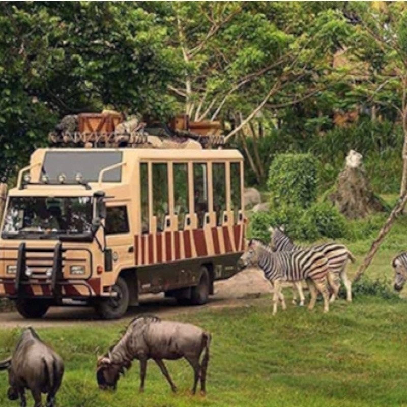 <p><span data-start="142" data-end="202" style="font-weight: bolder;">🌿 Dubai Safari Park — где природа встречается с будущим.</span></p><p data-start="204" data-end="492">Среди песков и небоскрёбов, где технологии и роскошь правят бал, раскинулся живой уголок природы —&nbsp;<span data-start="303" data-end="324" style="font-weight: bolder;">Dubai Safari Park</span>. Это не просто зоопарк, а настоящий&nbsp;<span data-start="361" data-end="384" style="font-weight: bolder;">оазис дикой природы</span>&nbsp;в самом сердце мегаполиса, гармонично сочетающий заботу о животных, экологические технологии и образование!</p><p data-start="494" data-end="731">📍Открытие парка состоялось в&nbsp;<span data-start="524" data-end="545" style="font-weight: bolder;">декабре 2017 года</span>, после того как старый зоопарк в районе Джумейра был закрыт. Новая концепция пришла на смену: вместо вольеров — просторные биозоны, вместо клеток — условия, приближённые к естественным.</p><p data-start="733" data-end="1043">Dubai Safari Park занимает площадь более&nbsp;<span data-start="774" data-end="790" style="font-weight: bolder;">119 гектаров</span>&nbsp;и считается&nbsp;<span data-start="803" data-end="847" style="font-weight: bolder;">одним из крупнейших сафари-парков в мире</span>, построенных&nbsp;<span data-start="861" data-end="898" style="font-weight: bolder;">по принципам устойчивого развития</span>. Здесь обитают&nbsp;<span data-start="914" data-end="938" style="font-weight: bolder;">более 3 000 животных</span>&nbsp;из разных уголков планеты: от африканских слонов и белых львов до редких азиатских тигров и носорогов.</p><p data-start="1045" data-end="1085">🌍 Парк разделён на тематические зоны:</p><ul data-start="1086" data-end="1449"><li data-start="1086" data-end="1169"><p data-start="1088" data-end="1169"><span data-start="1088" data-end="1107" style="font-weight: bolder;">African Village</span>&nbsp;— с величественными львами, бегемотами, жирафами и зебрами,</p></li><li data-start="1170" data-end="1253"><p data-start="1172" data-end="1253"><span data-start="1172" data-end="1189" style="font-weight: bolder;">Asian Village</span>&nbsp;— с павлинами, макаками, оленями и уникальной фауной Востока,</p></li><li data-start="1254" data-end="1336"><p data-start="1256" data-end="1336"><span data-start="1256" data-end="1281" style="font-weight: bolder;">Arabian Desert Safari</span>&nbsp;— с животными, обитающими на Аравийском полуострове,</p></li><li data-start="1337" data-end="1449"><p data-start="1339" data-end="1449"><span data-start="1339" data-end="1359" style="font-weight: bolder;">Explorer Village</span>&nbsp;— сафари на джипах среди свободно гуляющих животных, как в настоящей африканской саванне.</p></li></ul><p data-start="1451" data-end="1588">🐘 Особая гордость парка —&nbsp;<span data-start="1478" data-end="1499" style="font-weight: bolder;">африканские слоны</span>, для которых создан один из крупнейших в мире вольер с бассейнами и грязевыми ваннами!</p><p data-start="1590" data-end="1954">💡 Инновации — ещё одна отличительная черта Dubai Safari Park. Энергия поступает от&nbsp;<span data-start="1674" data-end="1695" style="font-weight: bolder;">солнечных панелей</span>, используется&nbsp;<span data-start="1710" data-end="1731" style="font-weight: bolder;">рециркуляция воды</span>, а материалы при строительстве были выбраны с учётом&nbsp;<span data-start="1785" data-end="1815" style="font-weight: bolder;">экологической устойчивости</span>. Парк служит также научной и образовательной платформой, где проводятся программы по охране исчезающих видов и экологическому просвещению.</p><p data-start="1956" data-end="2251">🦜 В 2020 году после реконструкции парк вновь открыл свои двери, ещё больше расширив коллекцию животных и улучшив условия содержания. Сегодня он не просто туристическая достопримечательность, а&nbsp;<span data-start="2150" data-end="2186" style="font-weight: bolder;">центр сохранения биоразнообразия</span>, визитная карточка современного подхода к экотуризму в Эмиратах.</p><hr data-start="2253" data-end="2256" style="border-top: 0.8px solid rgb(239, 242, 247); color: rgb(73, 80, 87);"><p data-start="2258" data-end="2401">Dubai Safari Park — это путешествие по пяти континентам за один день, это место, где дети учатся любить природу, а взрослые — удивляться снова.</p><p data-start="2258" data-end="2401"><span style="font-weight: bolder;">В ЦЕНУ ВХОДИТ ТРАНСФЕР И ЗОЛОТОЙ БИЛЕТ. ВСЕ ЗОНЫ ДОСТУПНЫ ДЛЯ ПОСЕЩЕНИЯ!!!</span></p>