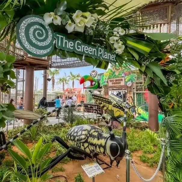 Дубай номер 1. Посещение The Green Planet+ Колесо обозрения