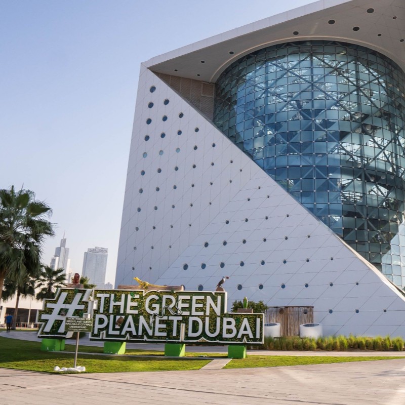Дубай номер 1. Посещение The Green Planet+ Колесо обозрения+Вечерний круиз по Dubai Marina