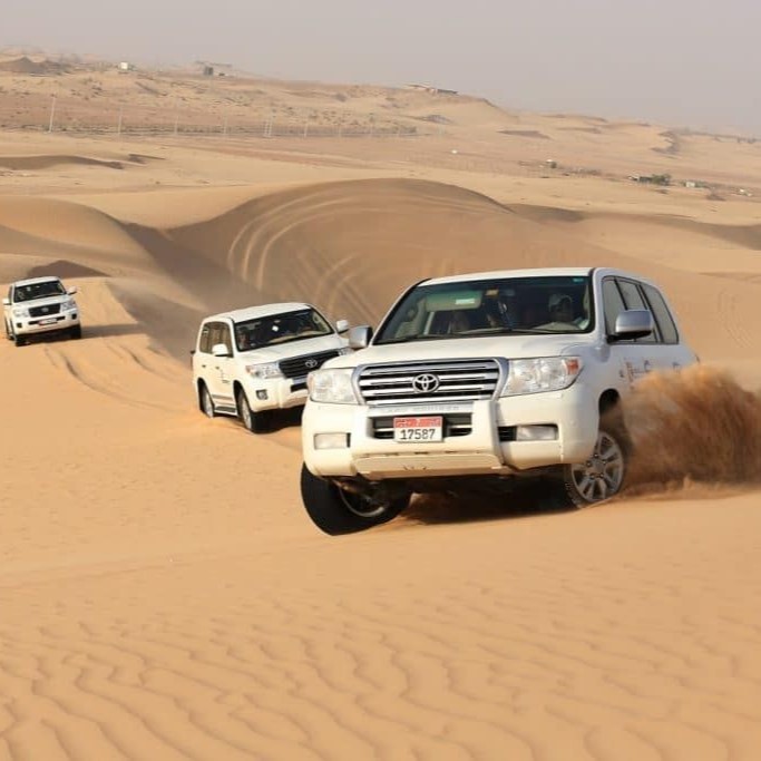 ПУСТЫННОЕ САФАРИ в Дубае. STANDART