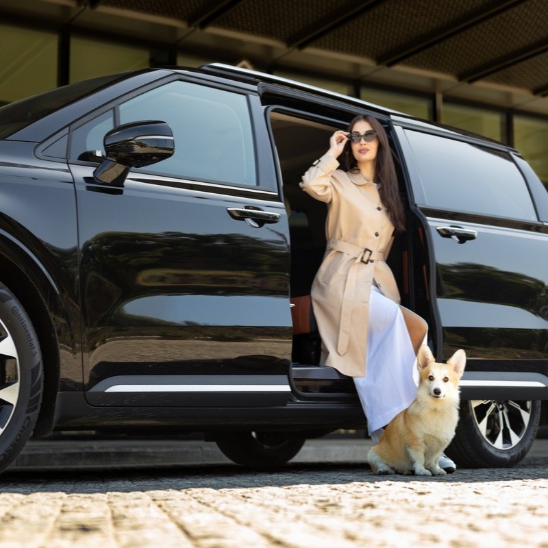 Аренда машины с водителем